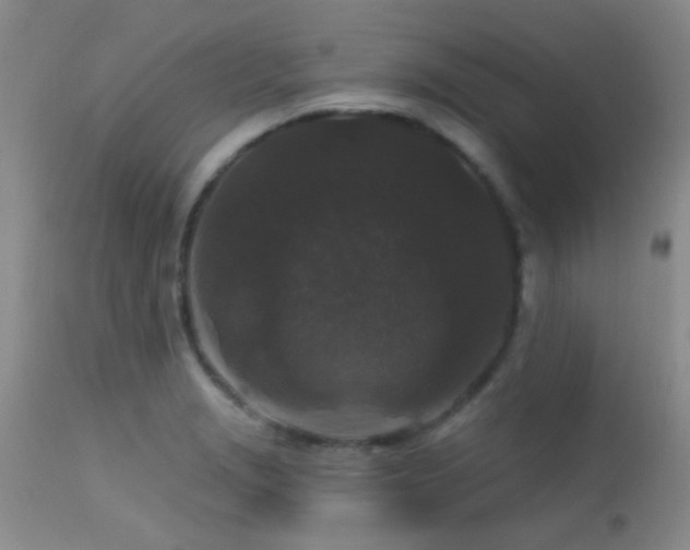 X0000113611229200909251134