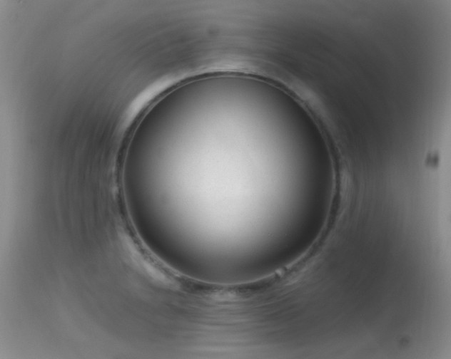 X0000113611230200909251134