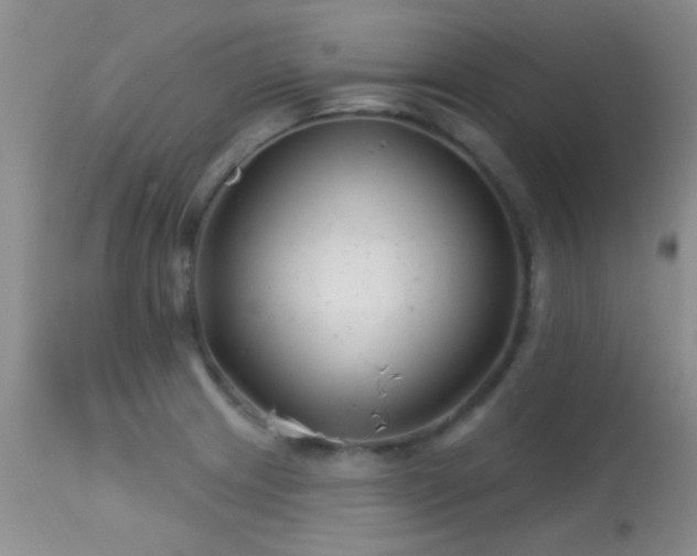 X0000113611233200909251134