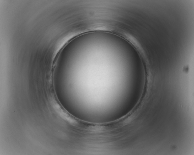 X0000113611236200909251134