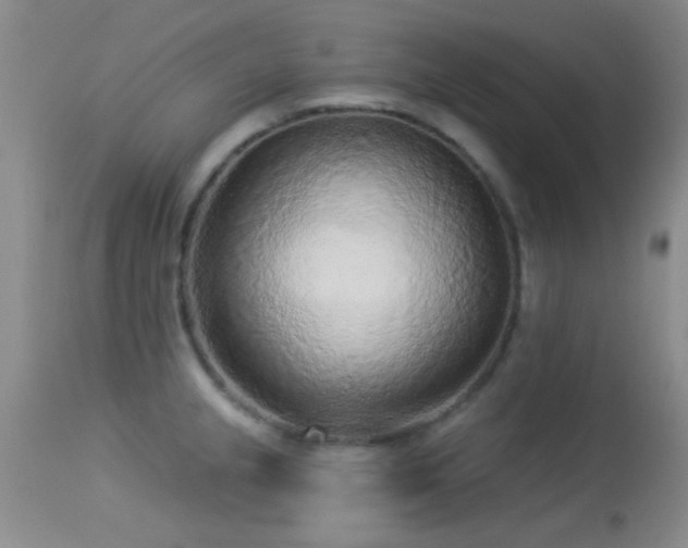 X0000113611237200909251134