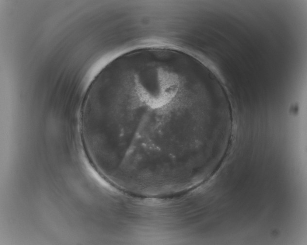 X0000113611239200909251135