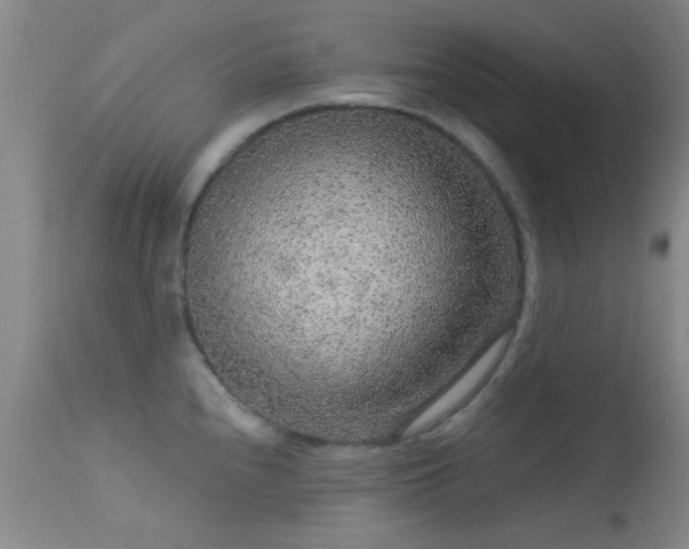 X0000113611240200909251135