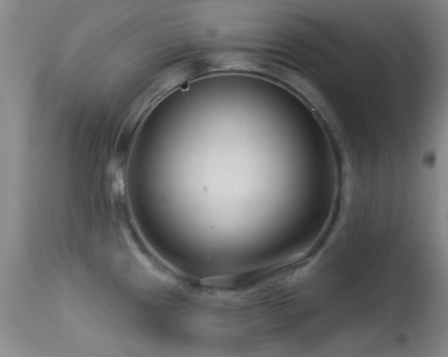 X0000113611241200909251135