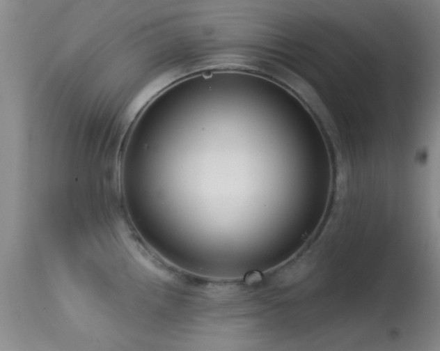 X0000113611242200909251135