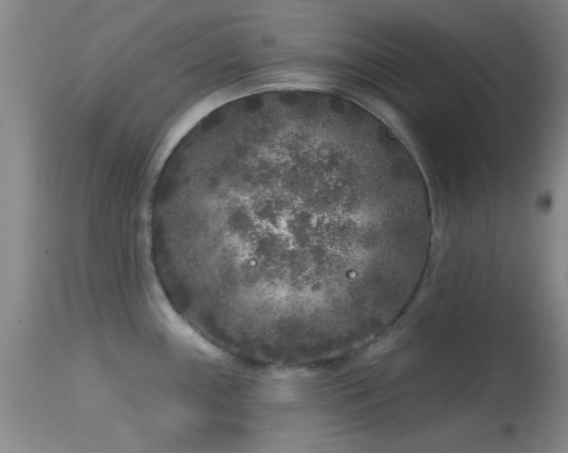 X0000113611243200909251135