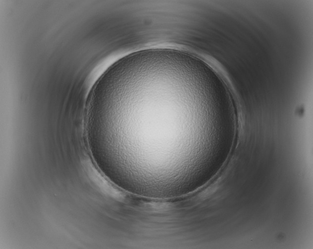 X0000113611244200909251135