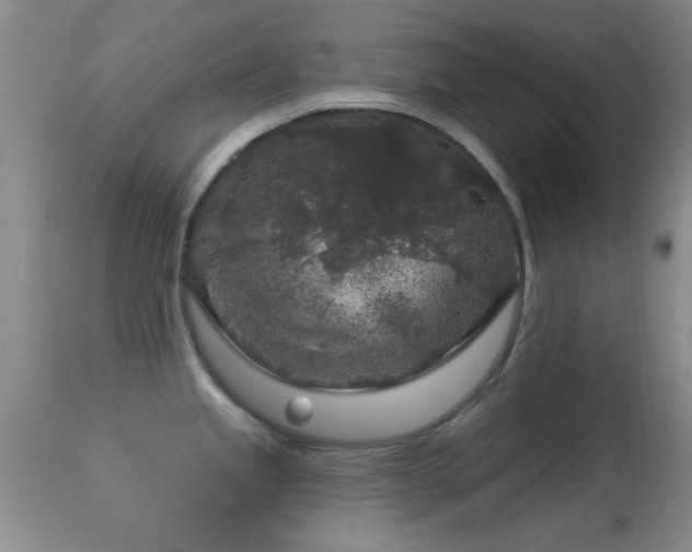 X0000113611245200909251135