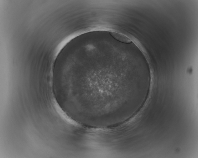 X0000113611246200909251135