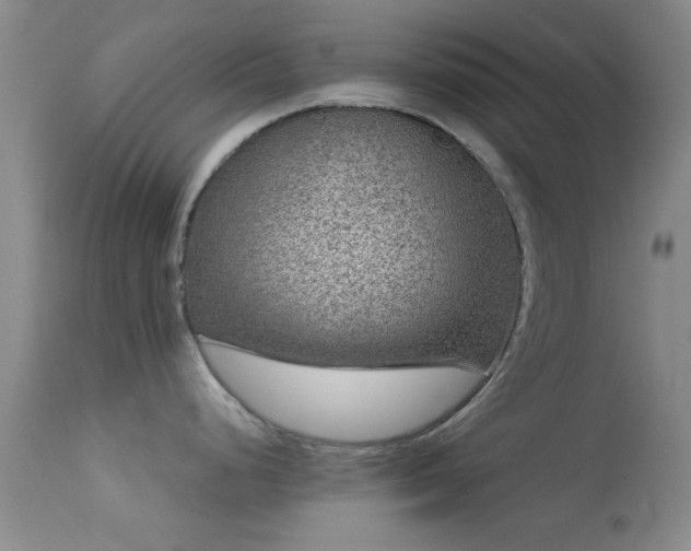 X0000113611248200909251135