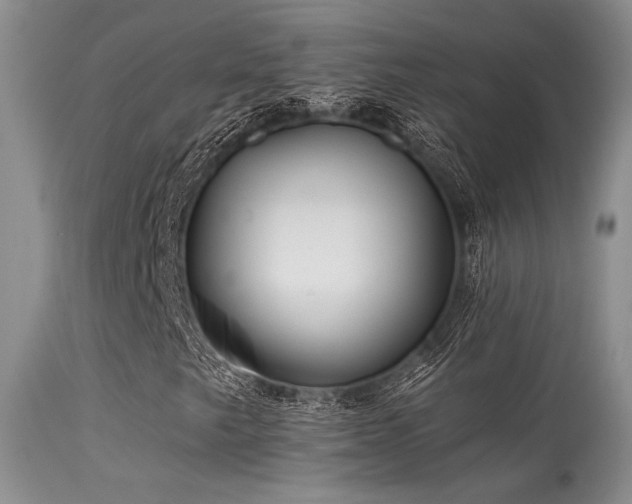 X0000113611249200909251134