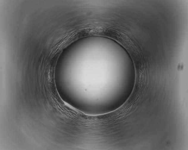 X0000113611250200909251134