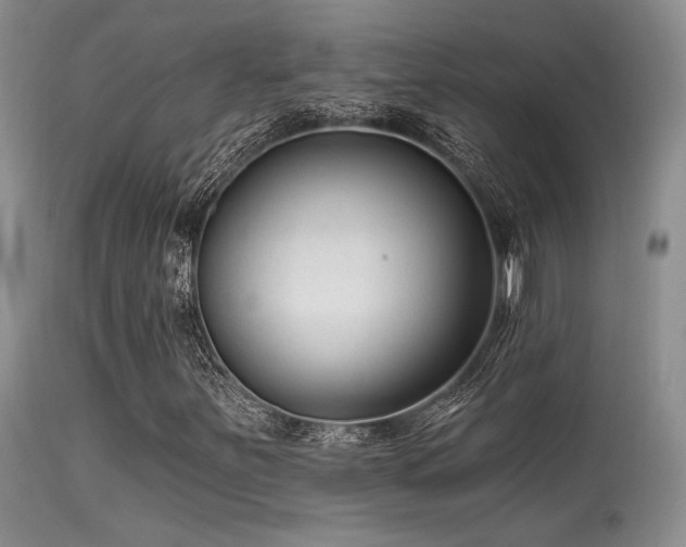 X0000113611251200909251134