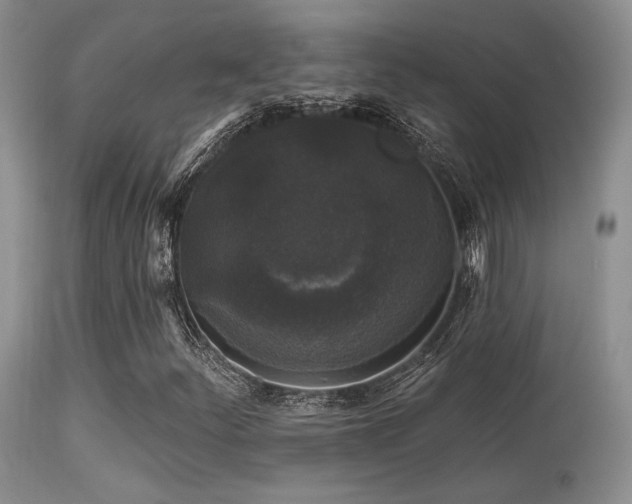 X0000113611252200909251134