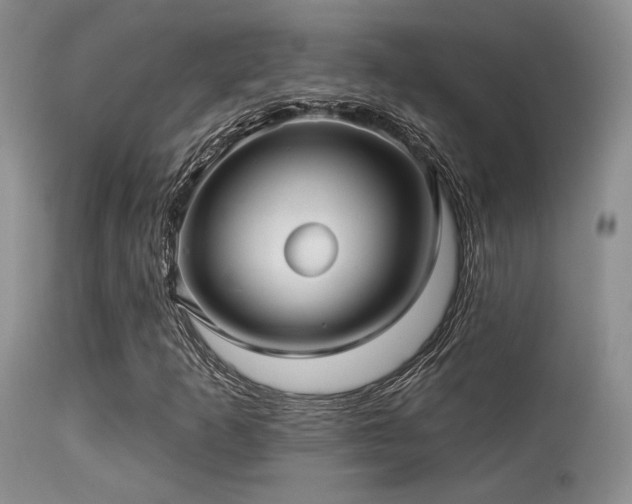 X0000113611253200909251134