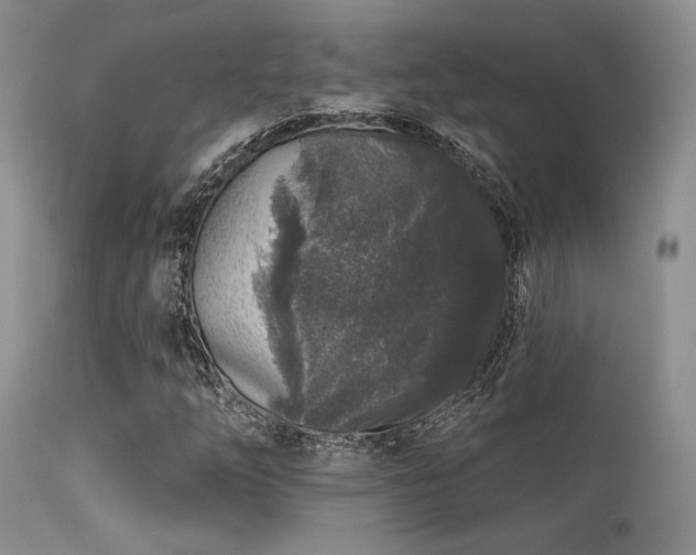 X0000113611254200909251134