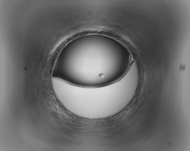 X0000113611256200909251134