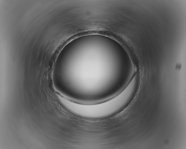 X0000113611257200909251134