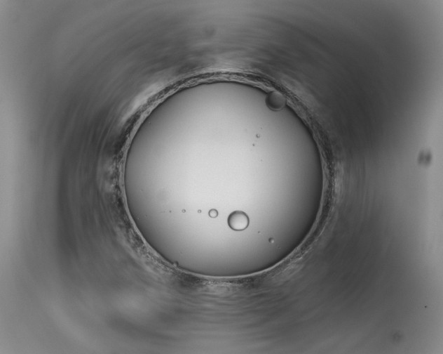 X0000113611258200909251134