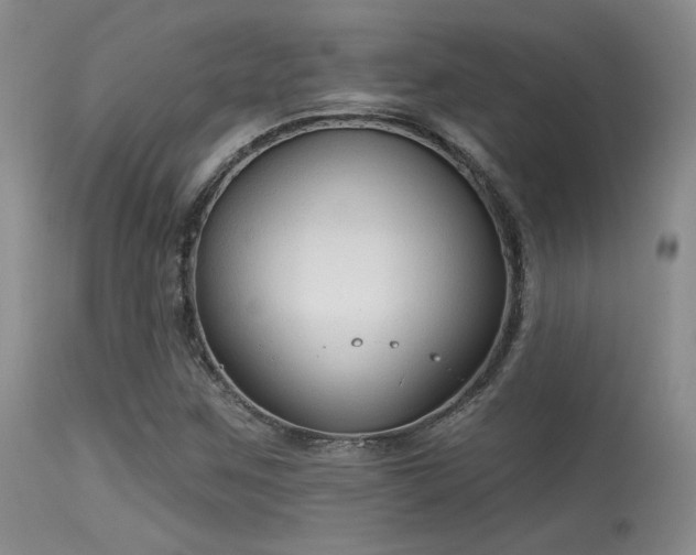 X0000113611259200909251134