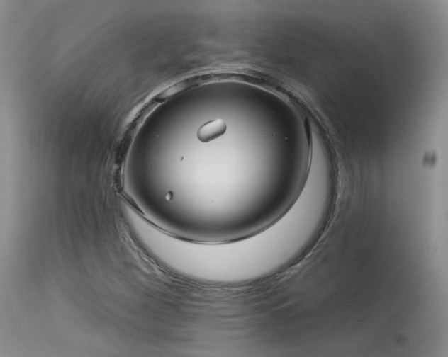 X0000113611260200909251134