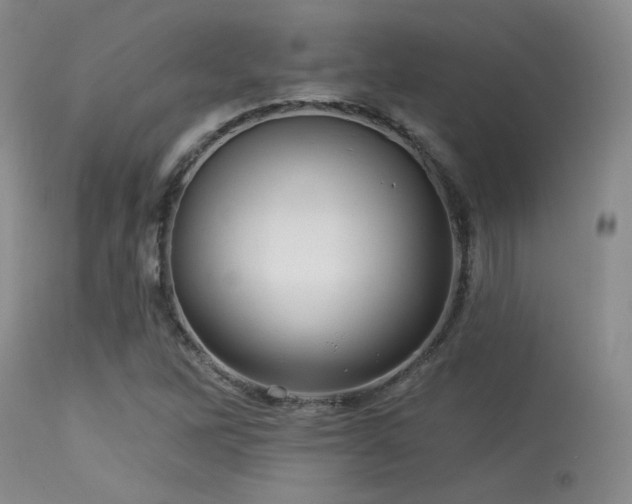 X0000113611262200909251134