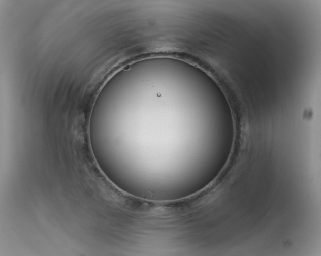 X0000113611265200909251133