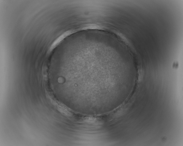 X0000113611266200909251133