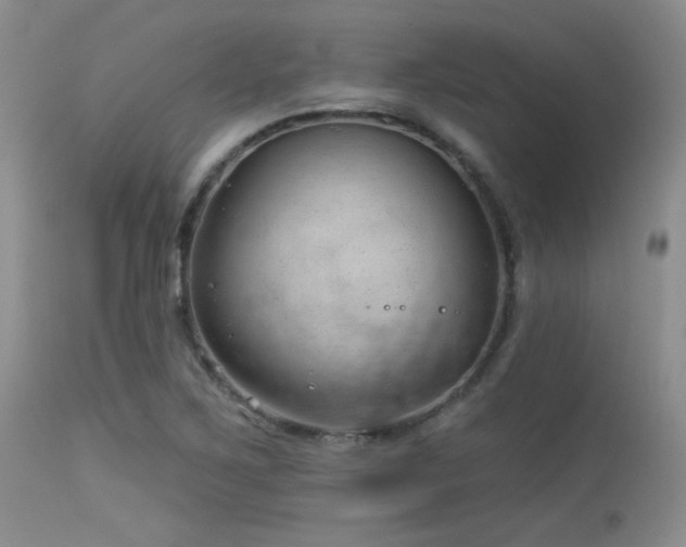 X0000113611267200909251133