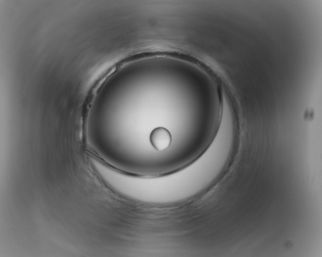 X0000113611269200909251133