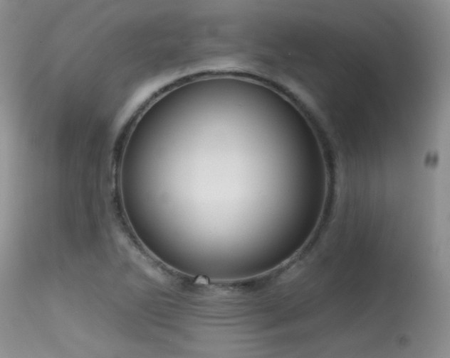 X0000113611270200909251133