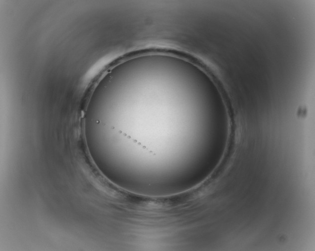 X0000113611271200909251133