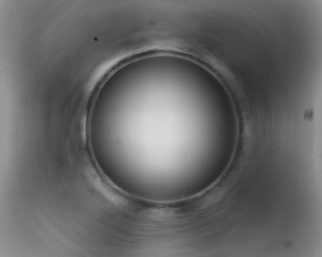 X0000113611272200909251133