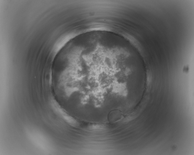 X0000113611274200909251133