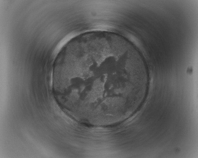 X0000113611275200909251133