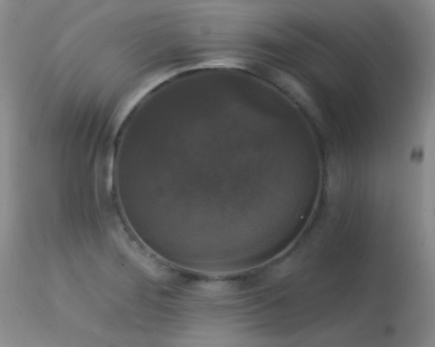 X0000113611276200909251133