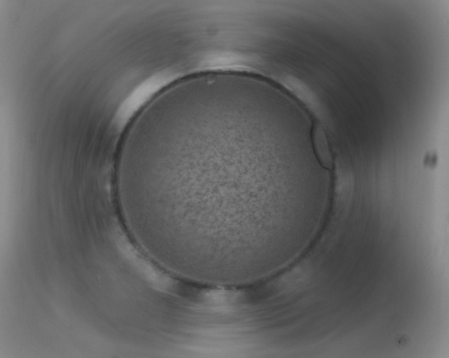 X0000113611277200909251133