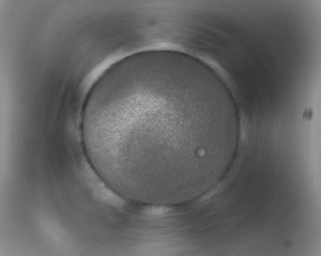 X0000113611278200909251133