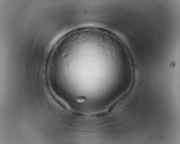 X0000113611279200909251133