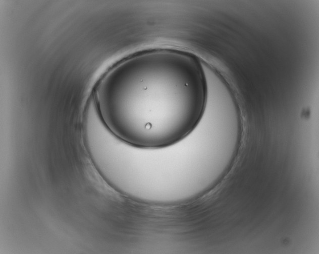 X0000113611280200909251133