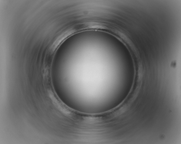 X0000113611281200909251133