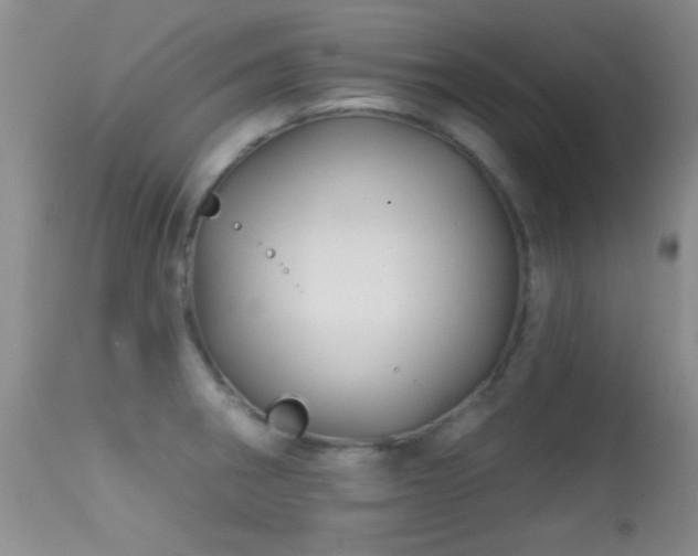 X0000113611282200909251133