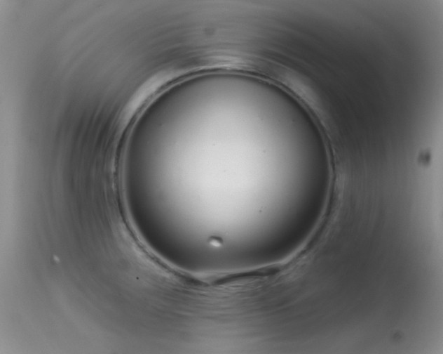 X0000113611283200909251133