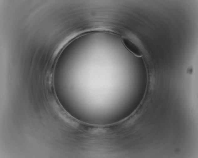 X0000113611284200909251133