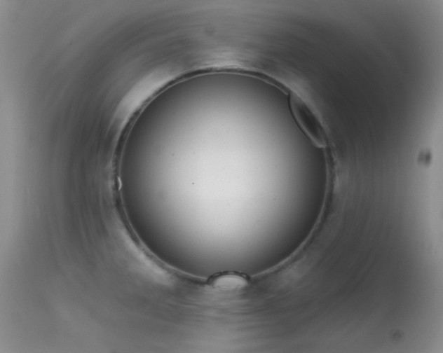 X0000113611285200909251133