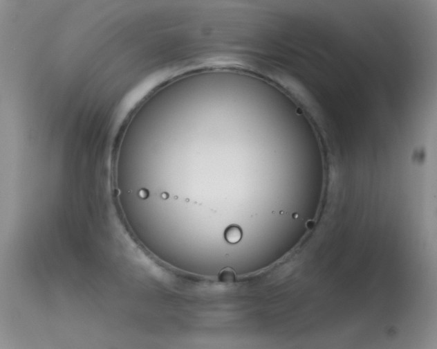 X0000113611286200909251133