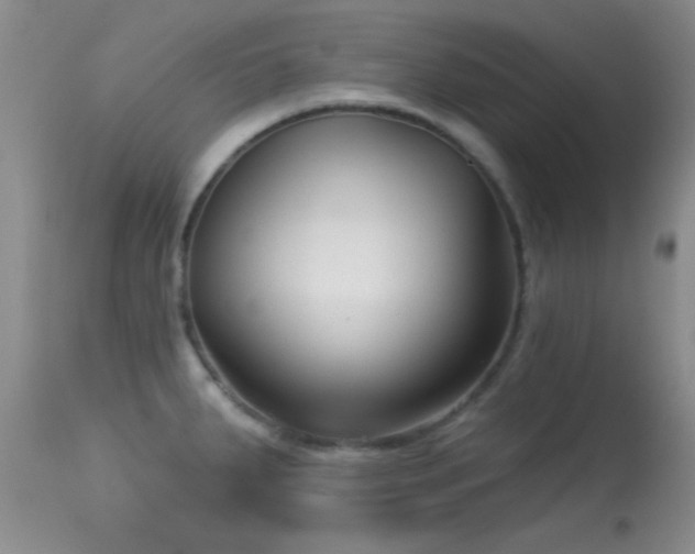 X0000113611287200909251133