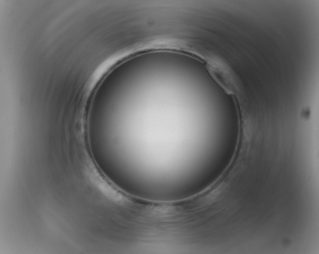 X0000113611288200909251133