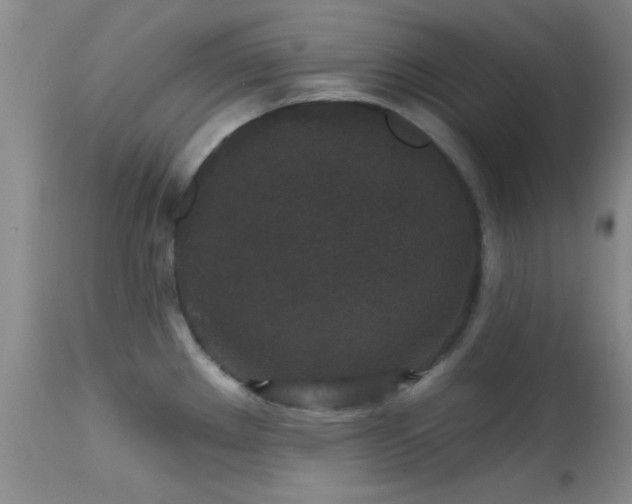 X0000113611289200909251133