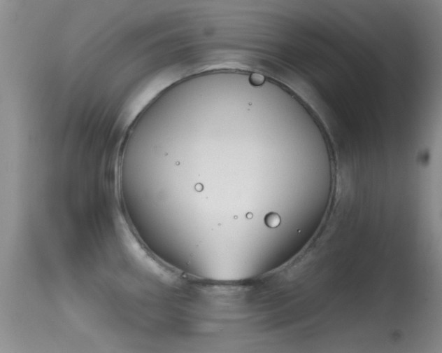 X0000113611290200909251133